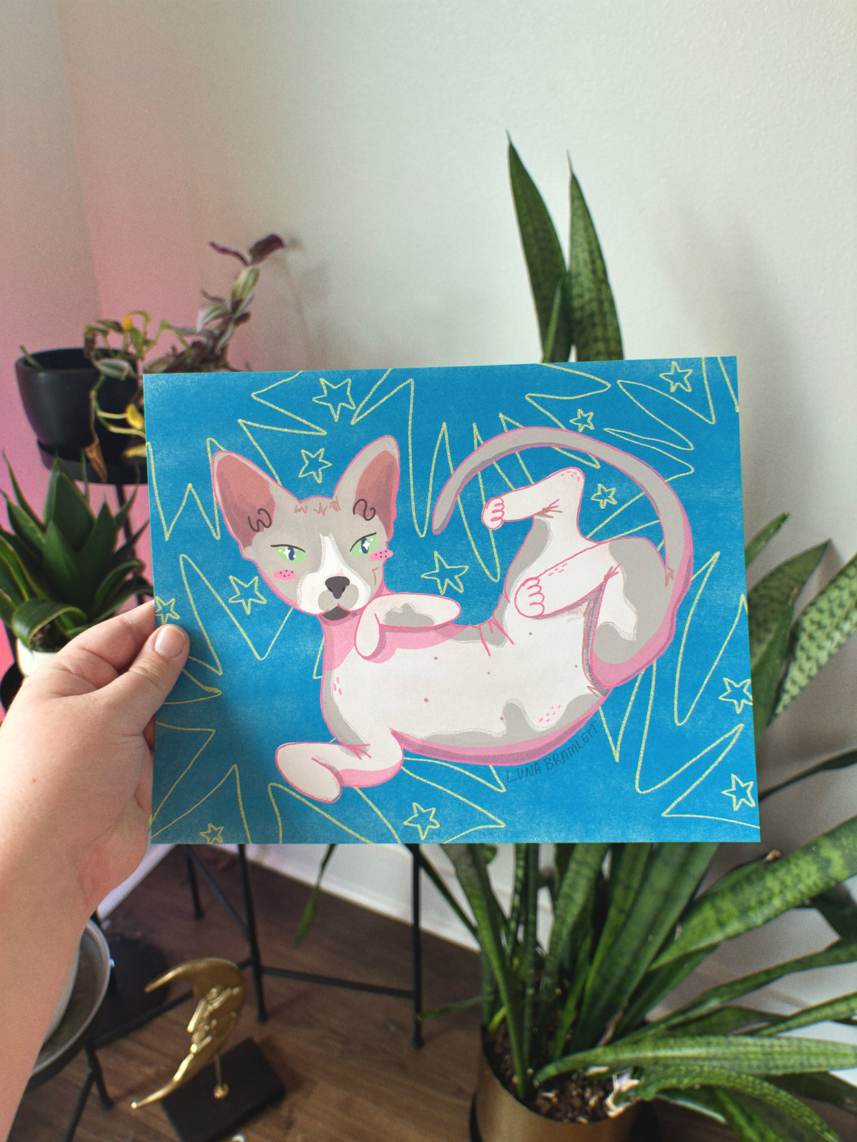 Funky Hairless Cat Print